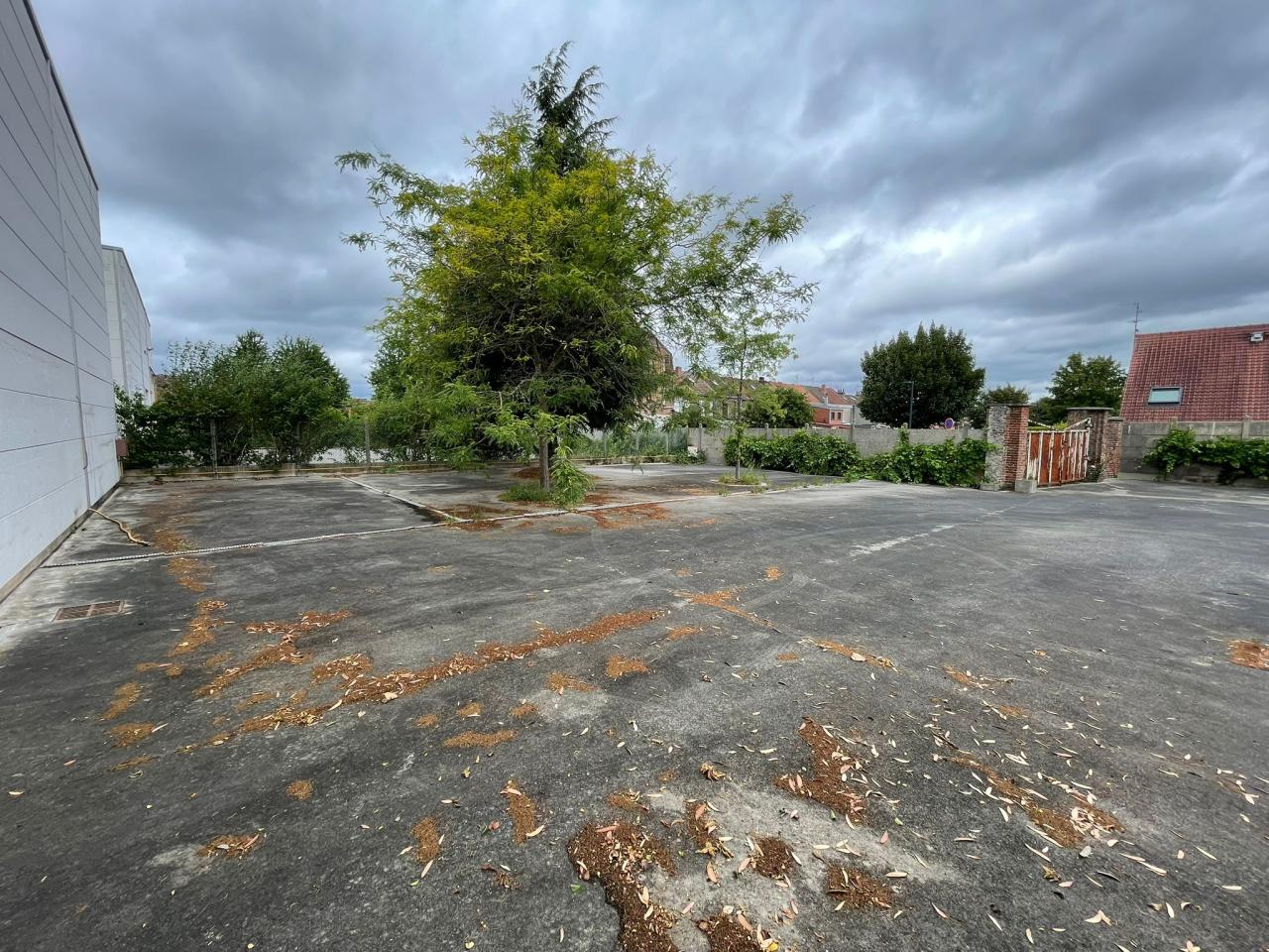 Local d'activité Lesquin 800m² Location local d'activité Lesquin Nord OLACT2533411 4